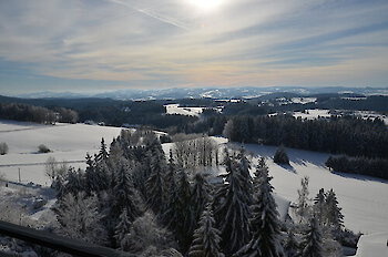 Weihnachtsgruß